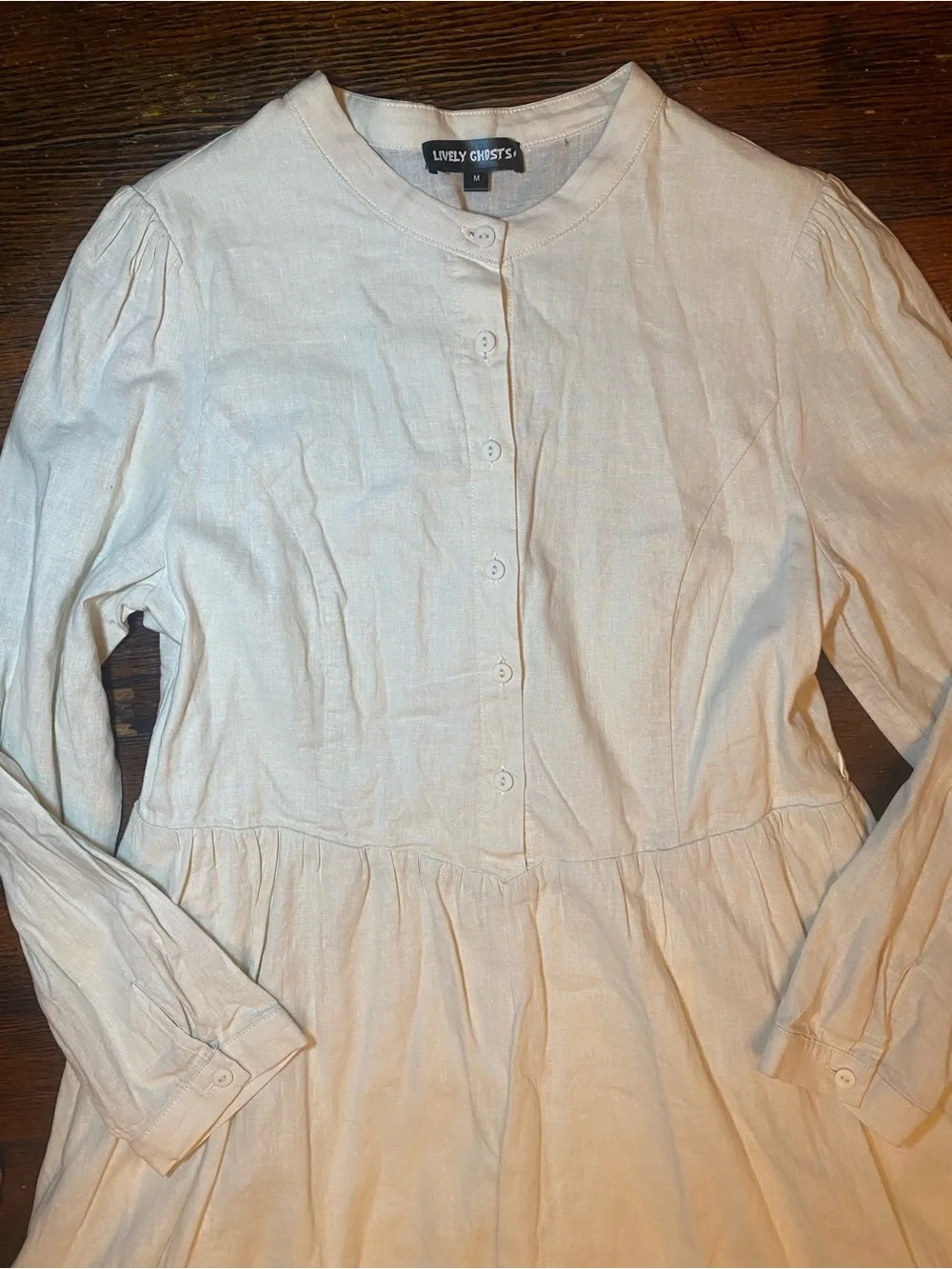 EUC Lively Ghosts Ritual Coven(?) Long Sleeve Victorian Style Button Front Dress